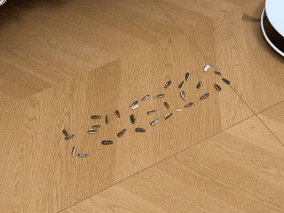 640(1).gif